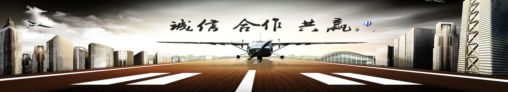 镇生活垃圾焚烧炉